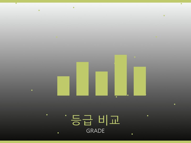 까륵띠에 레플리카 사이트 등급 기준 비교